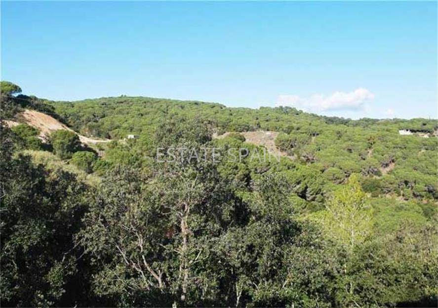 Шале в Сан-Андрес-де-Льеванерас 200 м2 №TAU1831F623  - Продажа - 2 large