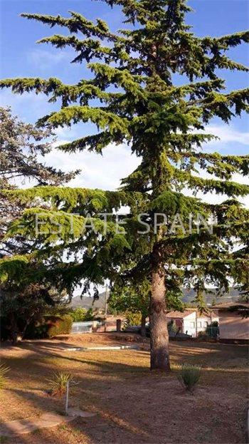 Вилла в Буньоль 420 м2 №VL191029C26A8  - Продажа - 32 large