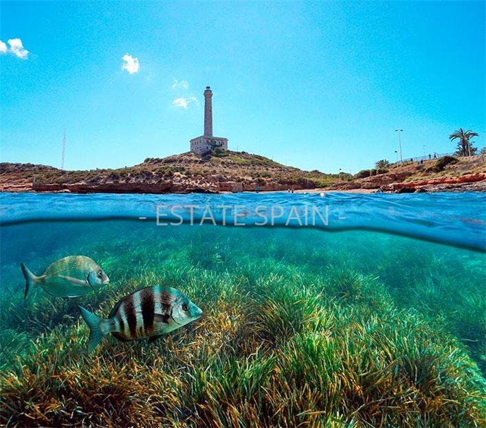 Вилла в Сантьяго-де-ла-Рибера 94 м2 №VL25109D15E9  - Продажа - 7 large