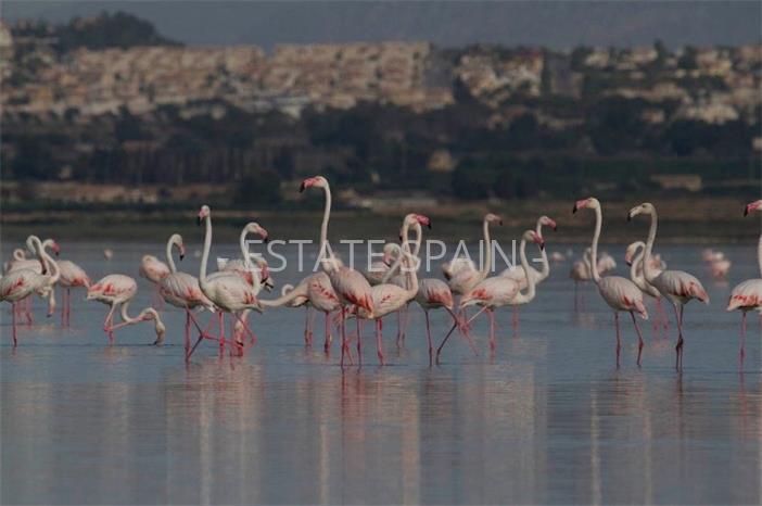 Вилла в Лос-Монтесиносе 122 м2 №VL185282789  - Продажа - 14 preview