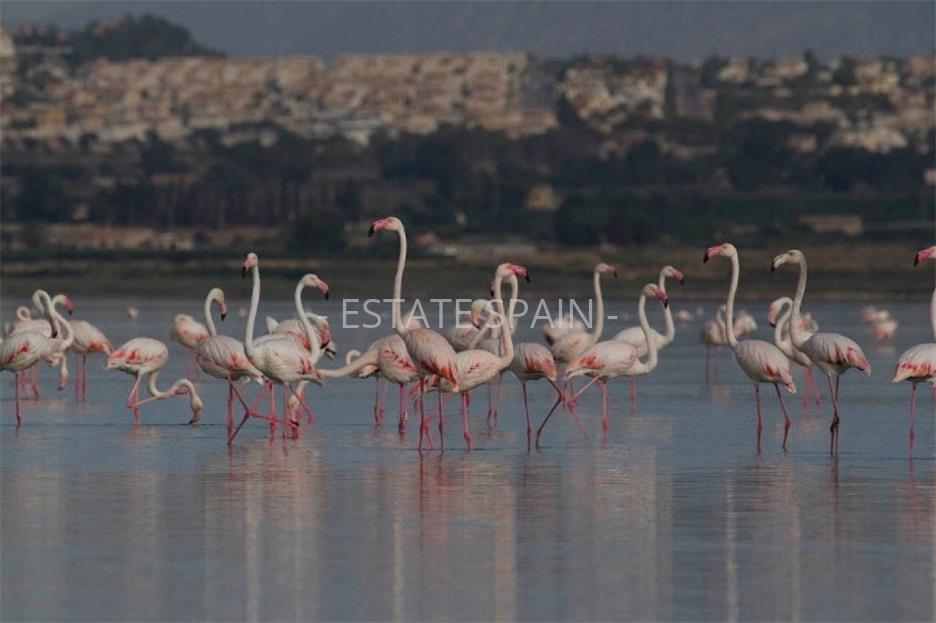 Вилла в Лос-Монтесиносе 122 м2 №VL185282789  - Продажа - 14 large