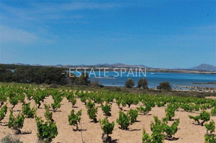 Вилла в Лос-Монтесиносе 122 м2 №VL185282789  - Продажа - 4 preview