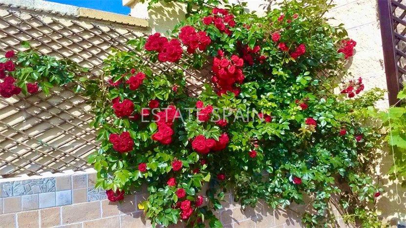 Таунхаус в Вильямартине 166 м2 №BL24115D7242  - Продажа - 5 preview