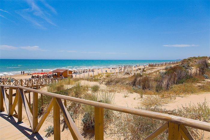 Пентхаус в Гуардамар-дель-Сегура 220 м2 №ART1912301DBE6  - Продажа - 3 preview