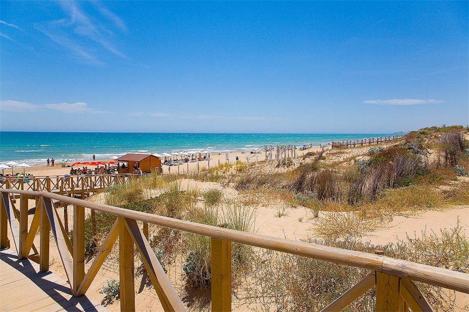 Пентхаус в Гуардамар-дель-Сегура 220 м2 №ART1912301DBE6  - Продажа - 3 large