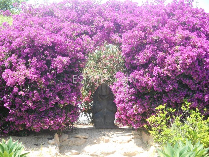 Вилла в Сан-Агустин 550 м2 №VL171212155D  - Продажа - 23 large