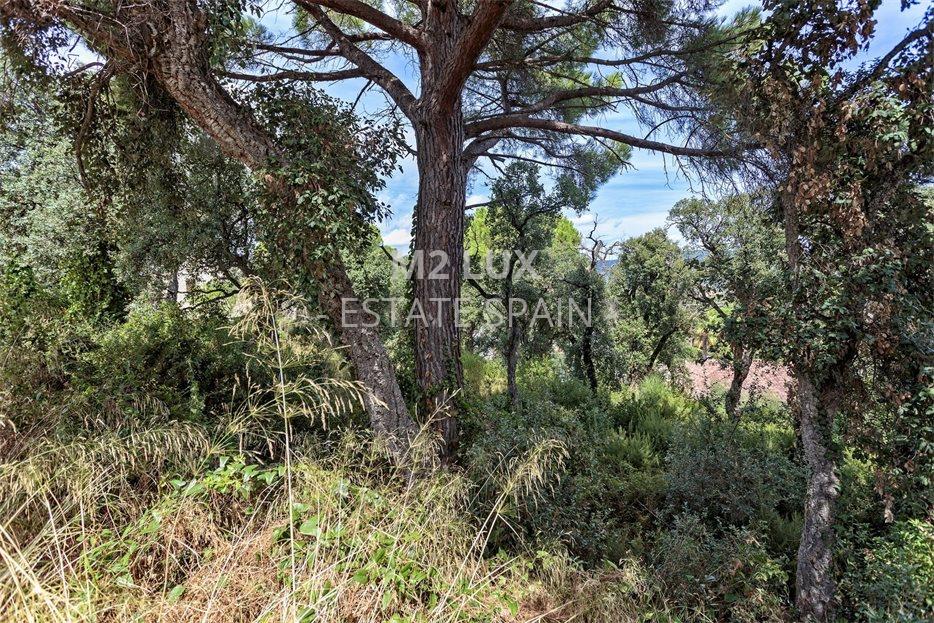 Участок в Калонже 989 м2 №PL20979C30C  - Продажа - 1 large