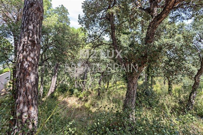 Участок в Калонже 989 м2 №PL20979C30C  - Продажа - 4 preview