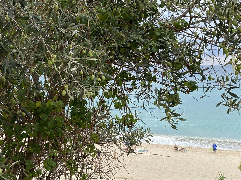 Вилла в Майами-Плайя 80 м2 №VL21831EA9CD  - Продажа - 16 large