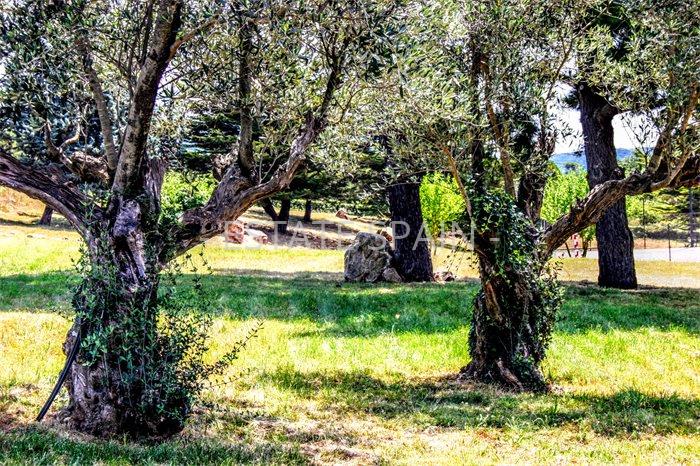 Масия в Санта-Кристина-де-Аро 1259 м2 №VL181174829D  - Продажа - 44 preview