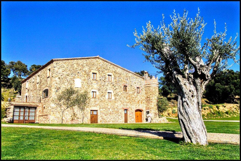 Масия в Санта-Кристина-де-Аро 1259 м2 №VL181174829D  - Продажа - 36 large