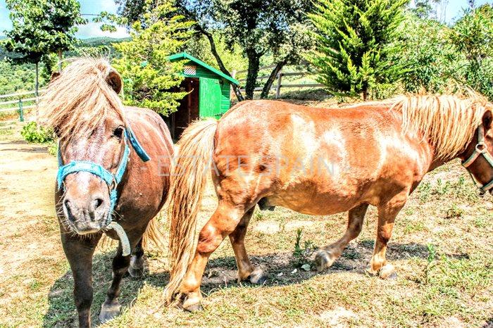 Масия в Санта-Кристина-де-Аро 1259 м2 №VL181174829D  - Продажа - 45 preview