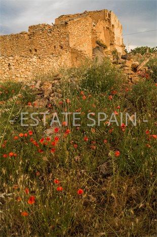 Участок в Ондон-де-лос-Фрайлес 1111 м2 №PL23524CD516  - Продажа - 15 preview