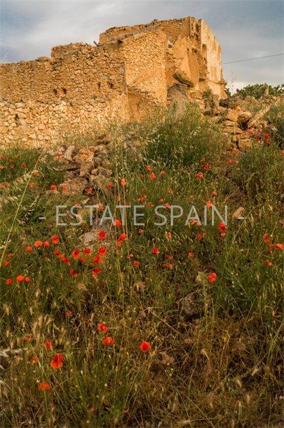 Участок в Ондон-де-лос-Фрайлес 1111 м2 №PL23524CD516  - Продажа - 15 large