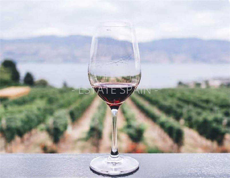 Усадьба в Сенселлес 525 м2 №VL242690B7C  - Продажа - 6 large