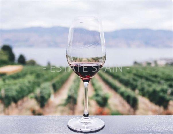 Вилла в Сенселлес 525 м2 №VL25122178BF  - Продажа - 14 preview