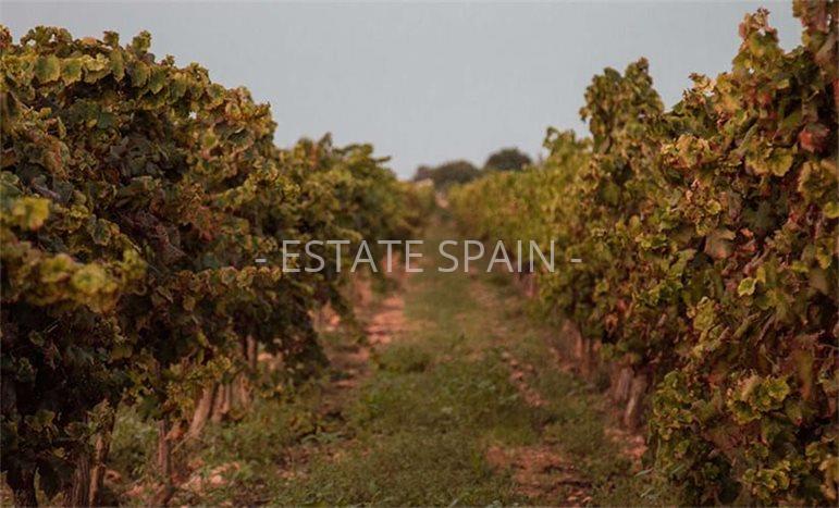 Вилла в Сенселлес 525 м2 №VL25122178BF  - Продажа - 8 preview