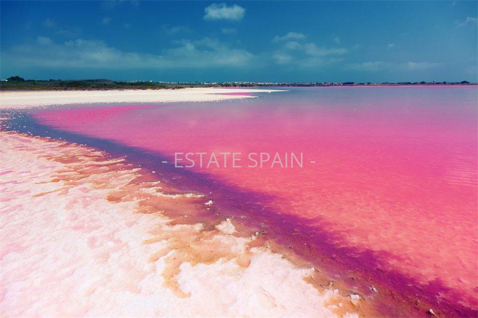 Бунгало в Торревьехе 62 м2 №BL25102F92AA  - Продажа - 49 large