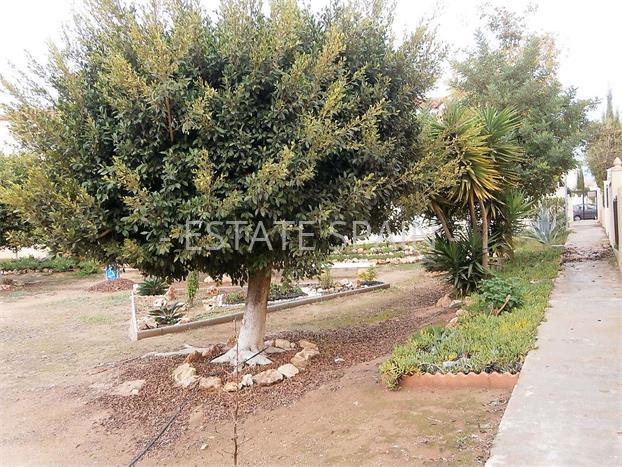 Бунгало в Торревьехе 58 м2 №TAU18131FCA3  - Продажа - 10 preview