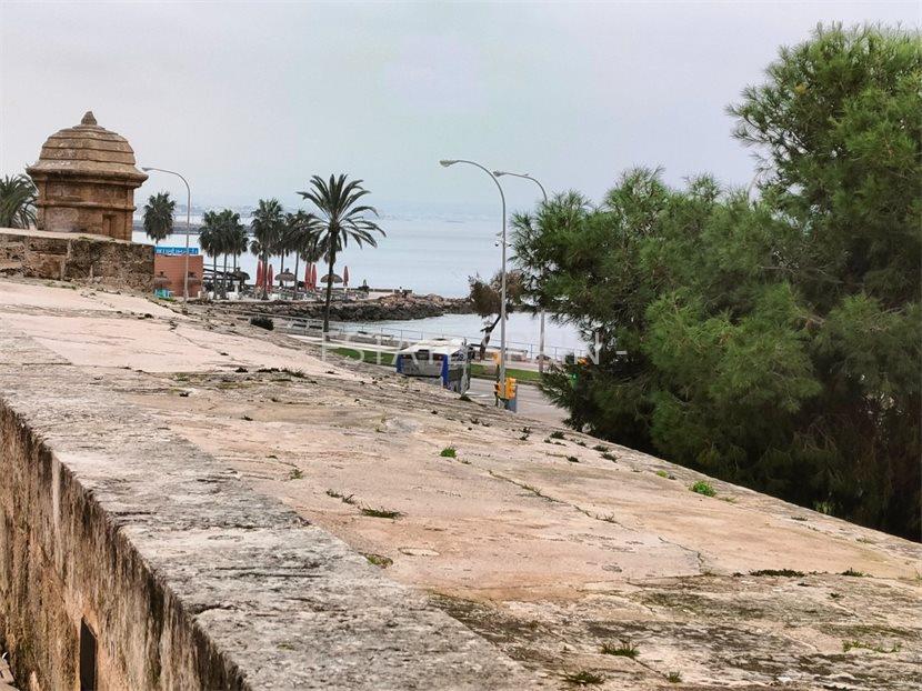 Апартаменты в Пальма-де-Майорка 44 м2 №ART22120F4007  - Продажа - 19 large