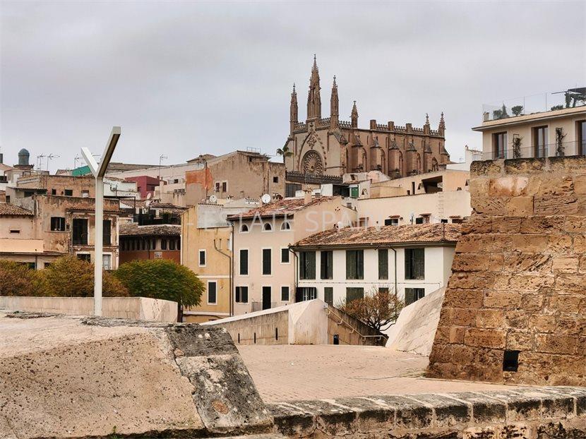 Апартаменты в Пальма-де-Майорка 44 м2 №ART22120F4007  - Продажа - 2 large