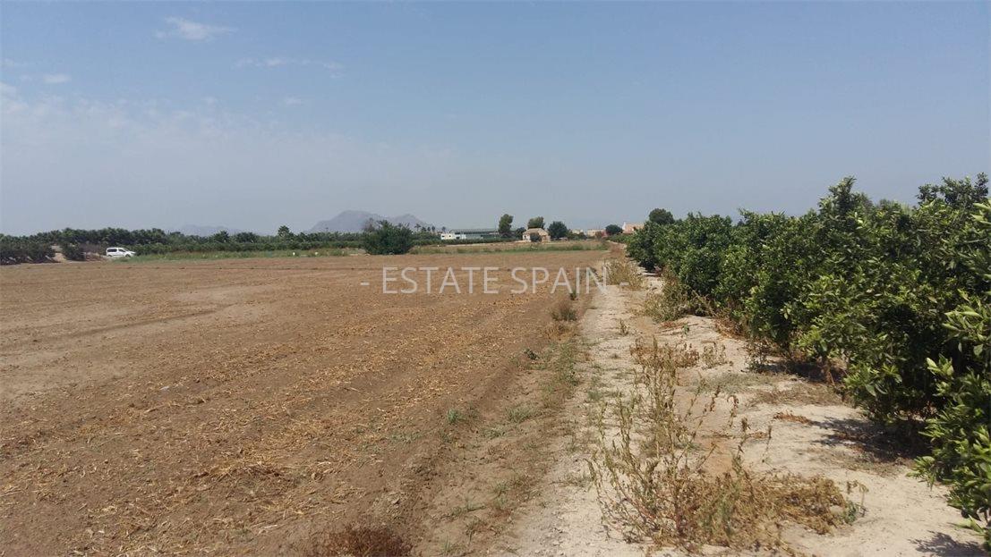 Сельский дом в Дайя Нуэва 200 м2 №VL2463D91BE  - Продажа - 11 large