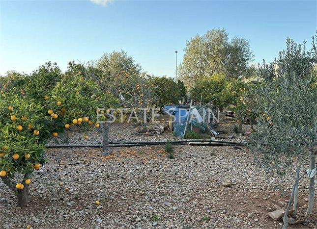 Участок в Пальма-де-Майорка 270 м2 №COM25798D2AD  - Продажа - 5 preview