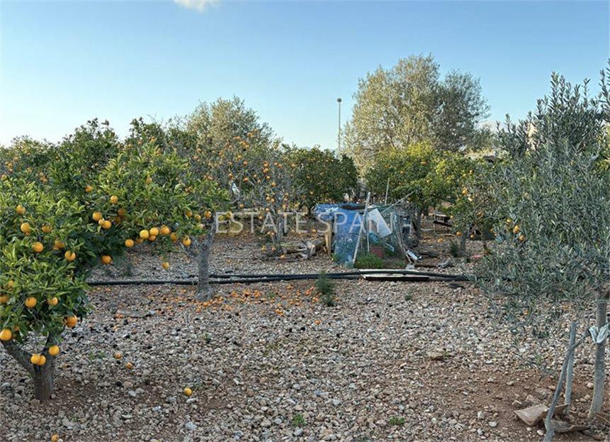 Участок в Пальма-де-Майорка 270 м2 №COM25798D2AD  - Продажа - 5 large