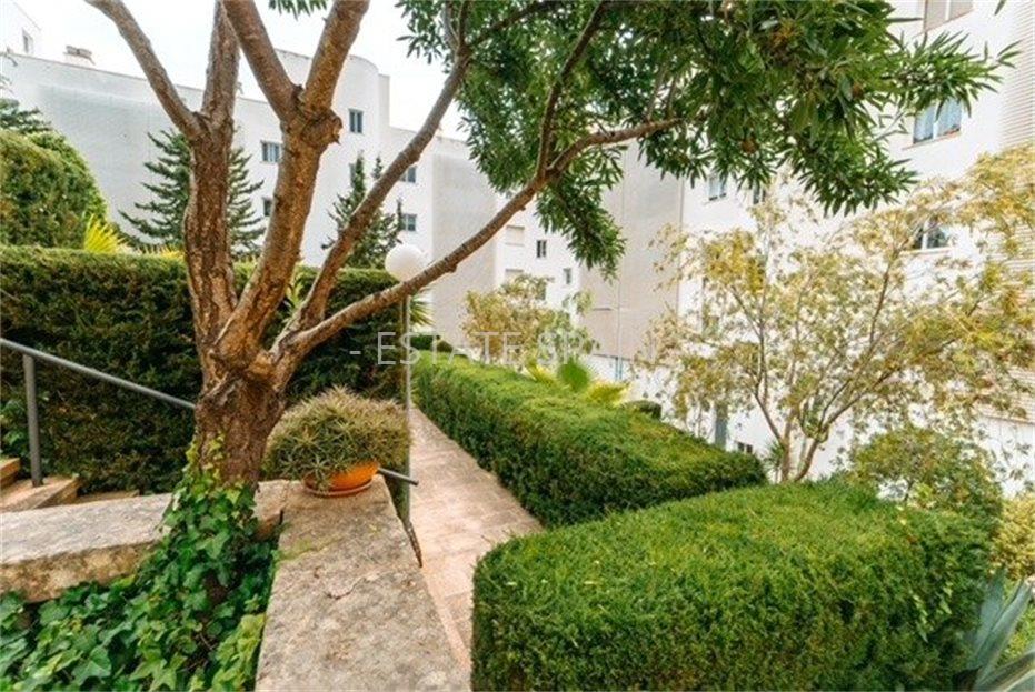 Квартира в Пальма-де-Майорка 125 м2 №ART211066A022  - Продажа - 13 large