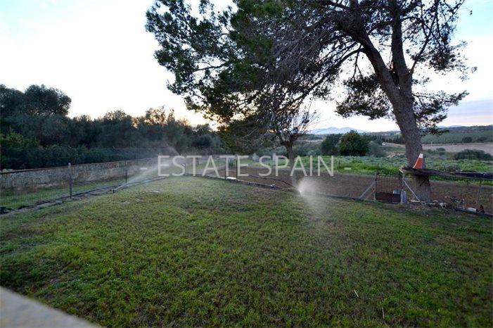 Сельский дом в Сон-Ферриол 1267 м2 №VL2352D39DA  - Продажа - 64 preview