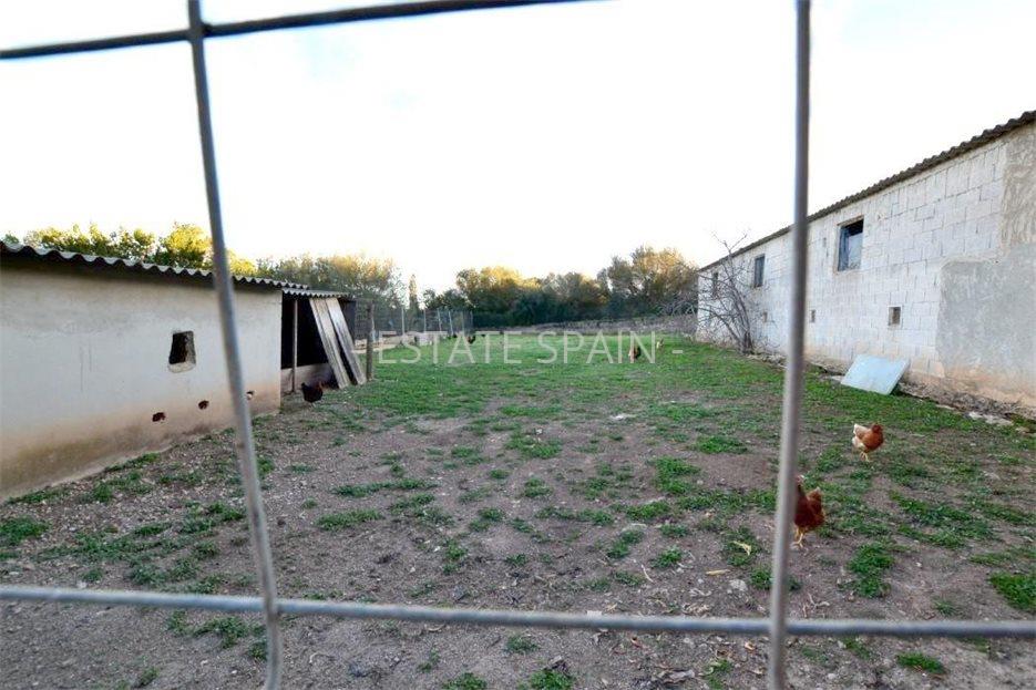 Сельский дом в Сон-Ферриол 1267 м2 №VL2352D39DA  - Продажа - 29 large