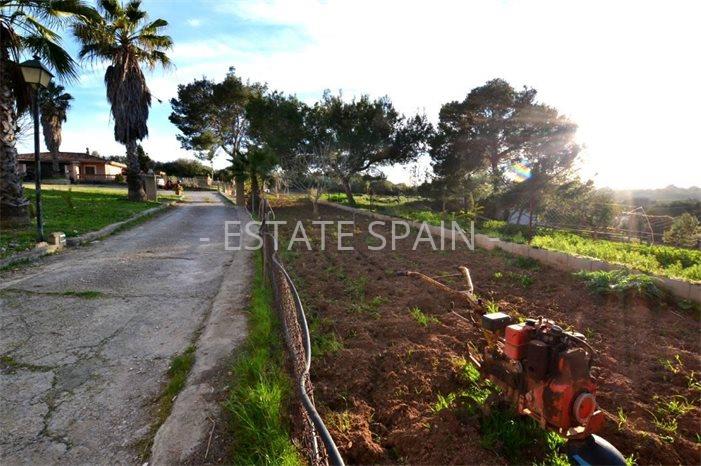 Сельский дом в Сон-Ферриол 1267 м2 №VL2352D39DA  - Продажа - 66 preview