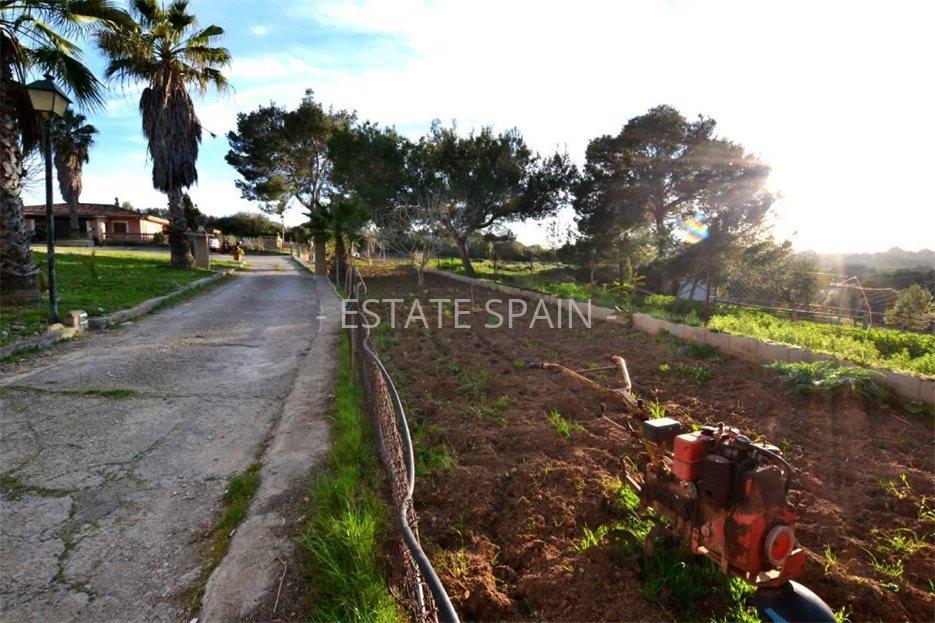 Сельский дом в Сон-Ферриол 1267 м2 №VL2352D39DA  - Продажа - 66 large