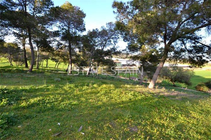Сельский дом в Сон-Ферриол 1267 м2 №VL2352D39DA  - Продажа - 67 preview