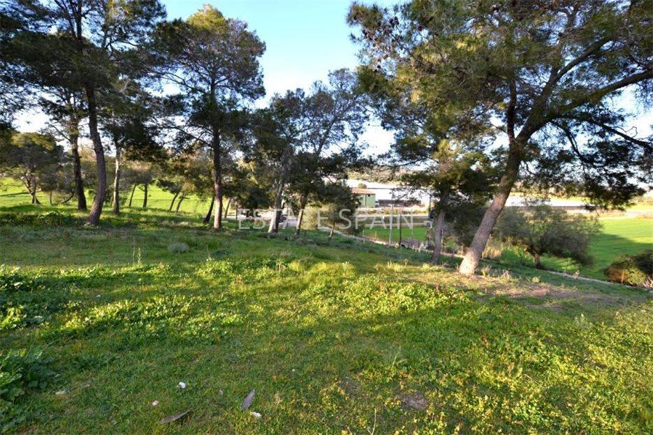 Сельский дом в Сон-Ферриол 1267 м2 №VL2352D39DA  - Продажа - 67 large