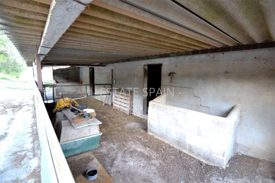 Сельский дом в Сон-Ферриол 1267 м2 №VL2352D39DA  - Продажа - 84 large