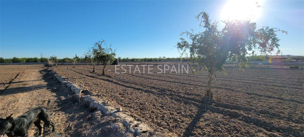 Сельский дом в Лос-Монтесиносе 1013 м2 №VL2471894AA  - Продажа - 27 preview