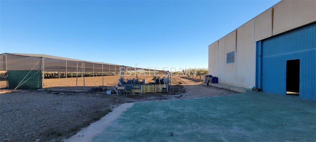 Сельский дом в Лос-Монтесиносе 1013 м2 №VL2471894AA  - Продажа - 21 preview