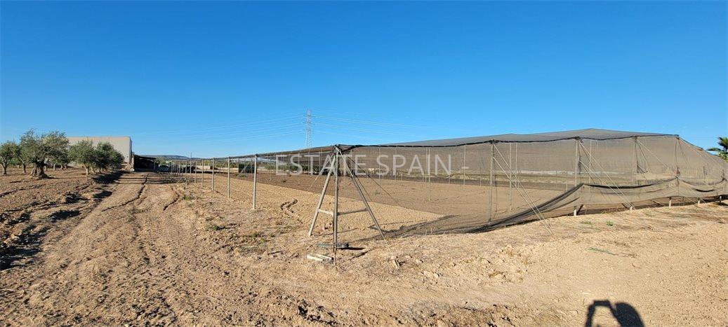 Сельский дом в Лос-Монтесиносе 1013 м2 №VL2471894AA  - Продажа - 25 preview