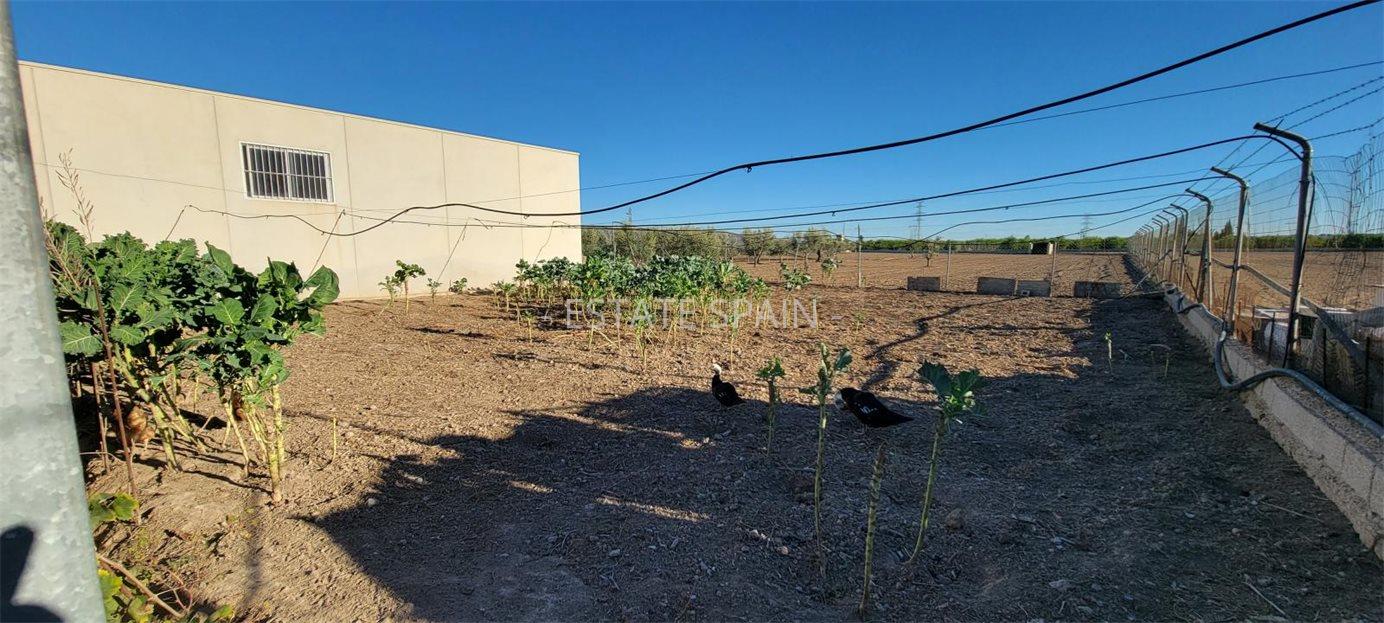 Сельский дом в Лос-Монтесиносе 1013 м2 №VL2471894AA  - Продажа - 20 large