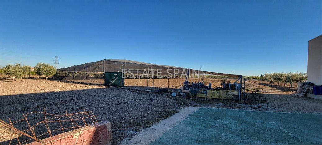 Сельский дом в Лос-Монтесиносе 1013 м2 №VL2471894AA  - Продажа - 3 preview