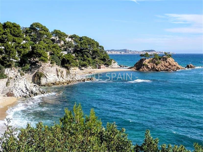 Вилла в Сан-Антони-де-Калонже 320 м2 №VL187185C71  - Продажа - 18 large