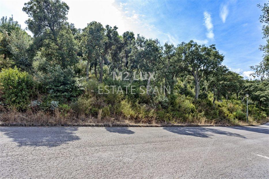 Участок в Калонже 3753 м2 №PL2091035A01  - Продажа - 2 large