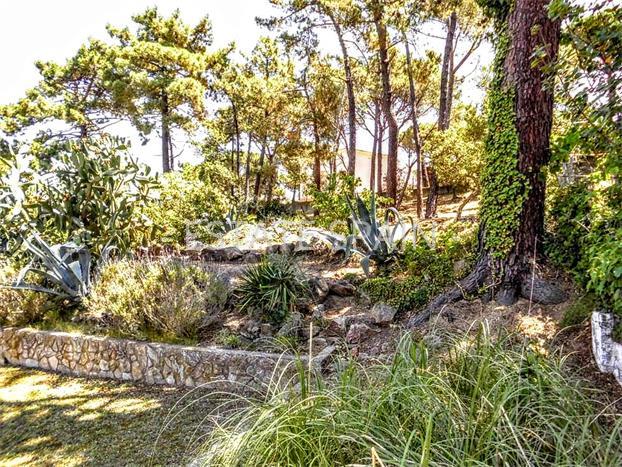 Дом в Сан-Фелиу-де-Гишольс 440 м2 №VL18718B1CF  - Продажа - 48 preview