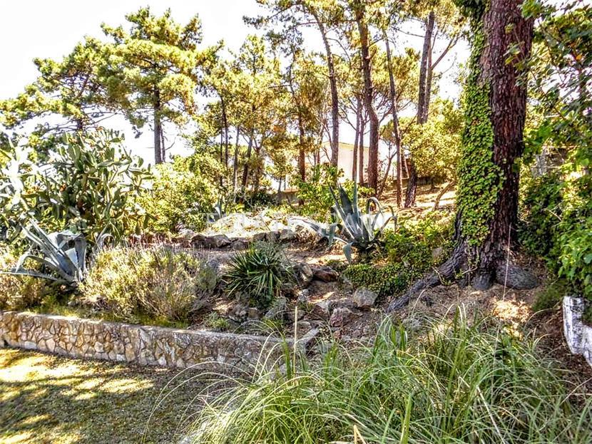 Дом в Сан-Фелиу-де-Гишольс 440 м2 №VL18718B1CF  - Продажа - 48 large