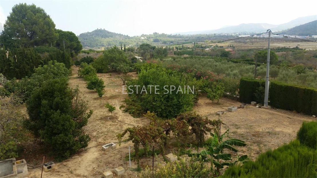 Вилла в Педрегере 380 м2 №VL214282CFE0  - Продажа - 14 large