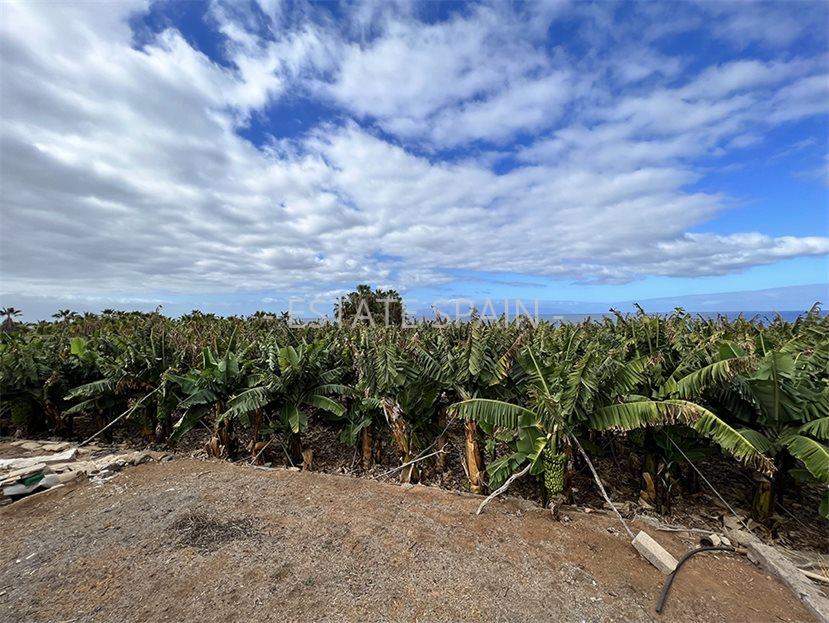 Участок в Гия-де-Исора 23000 м2 №PL24819EB771  - Продажа - 20 large