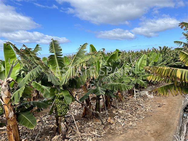 Участок в Гия-де-Исора 23000 м2 №PL24819EB771  - Продажа - 18 preview