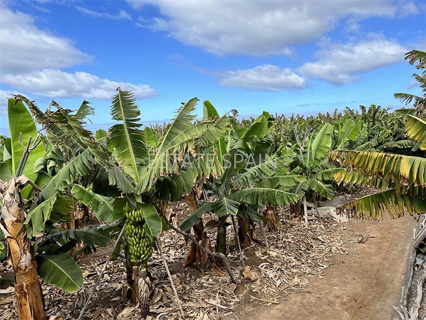 Участок в Гия-де-Исора 23000 м2 №PL24819EB771  - Продажа - 18 large