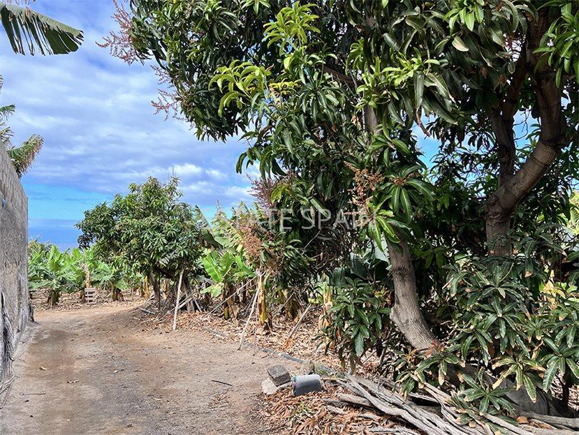 Участок в Гия-де-Исора 23000 м2 №PL24819EB771  - Продажа - 14 large